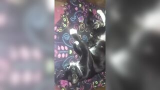 Leaked theassprincess onlyfans porn broadcast pack part 1
