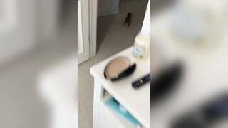 biancabeauchamp leaked porn shows