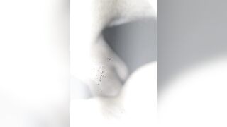 Onlyfans great Emy Lee nude mov leaks pack 5